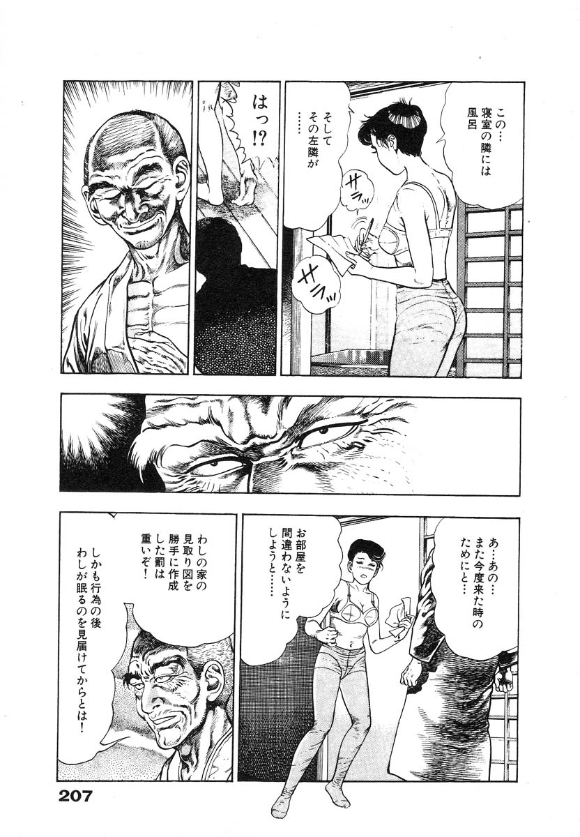 [Maeda Toshio] Ryakudatsu Toshi 1 page 212 full