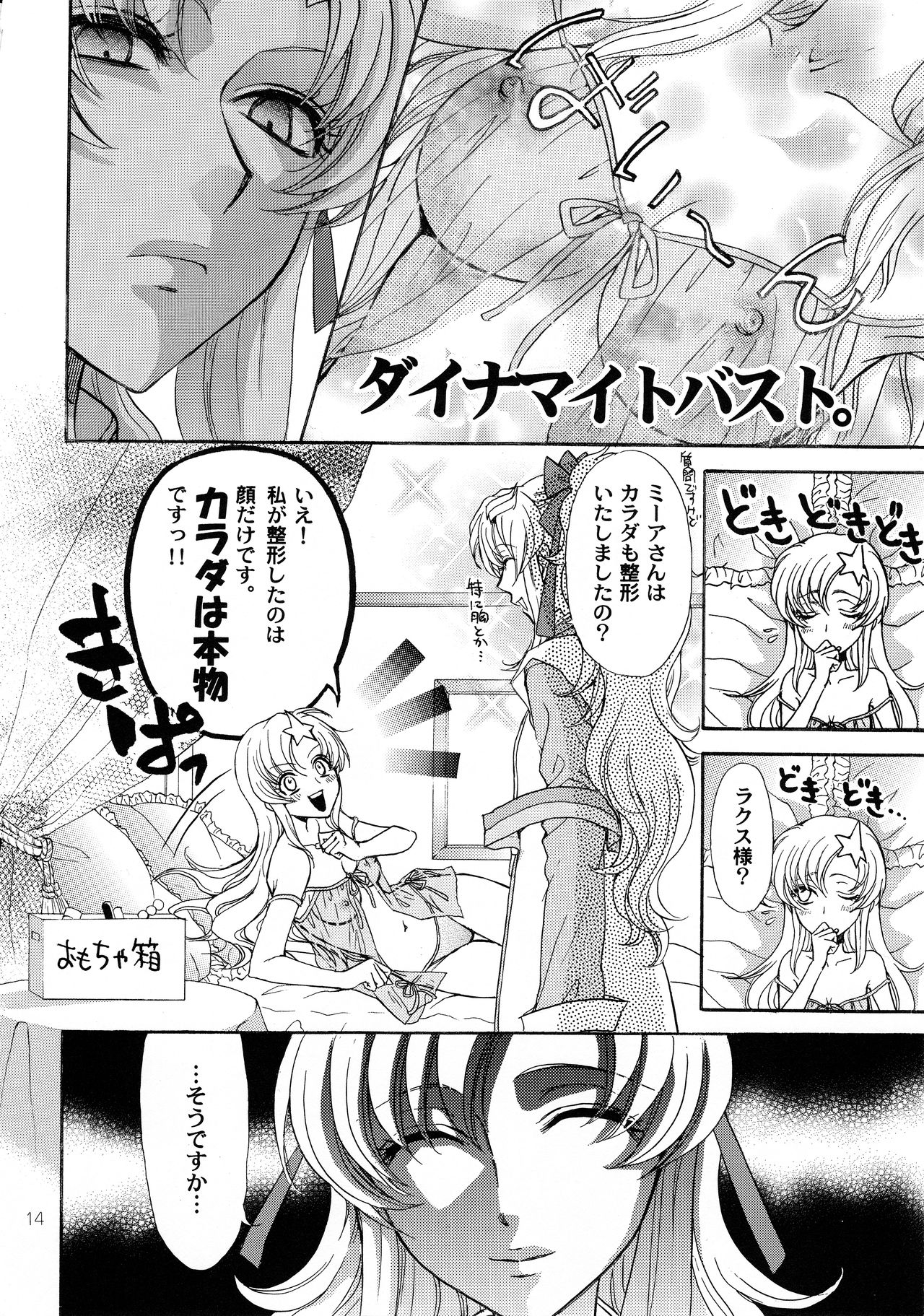 (HaruCC12) [Kozouya (Eiki Eiki, Zaou Taishi)] Kujibiki Destiny (Gundam SEED DESTINY) page 13 full