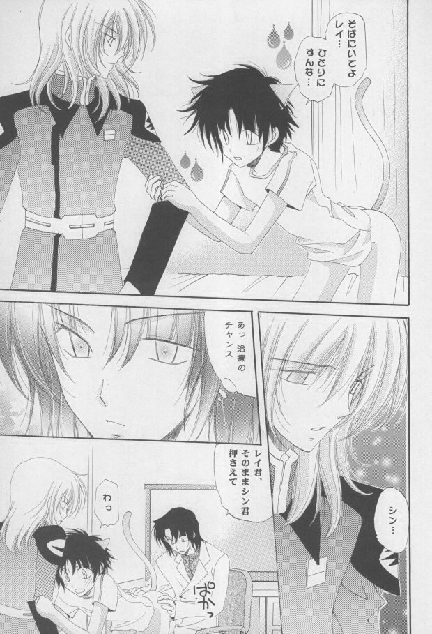 (C68) [Mutsuharu (Kagami Haruki)] Nekomimi Zouryouchuu (Gundam SEED DESTINY) [Incomplete] page 24 full