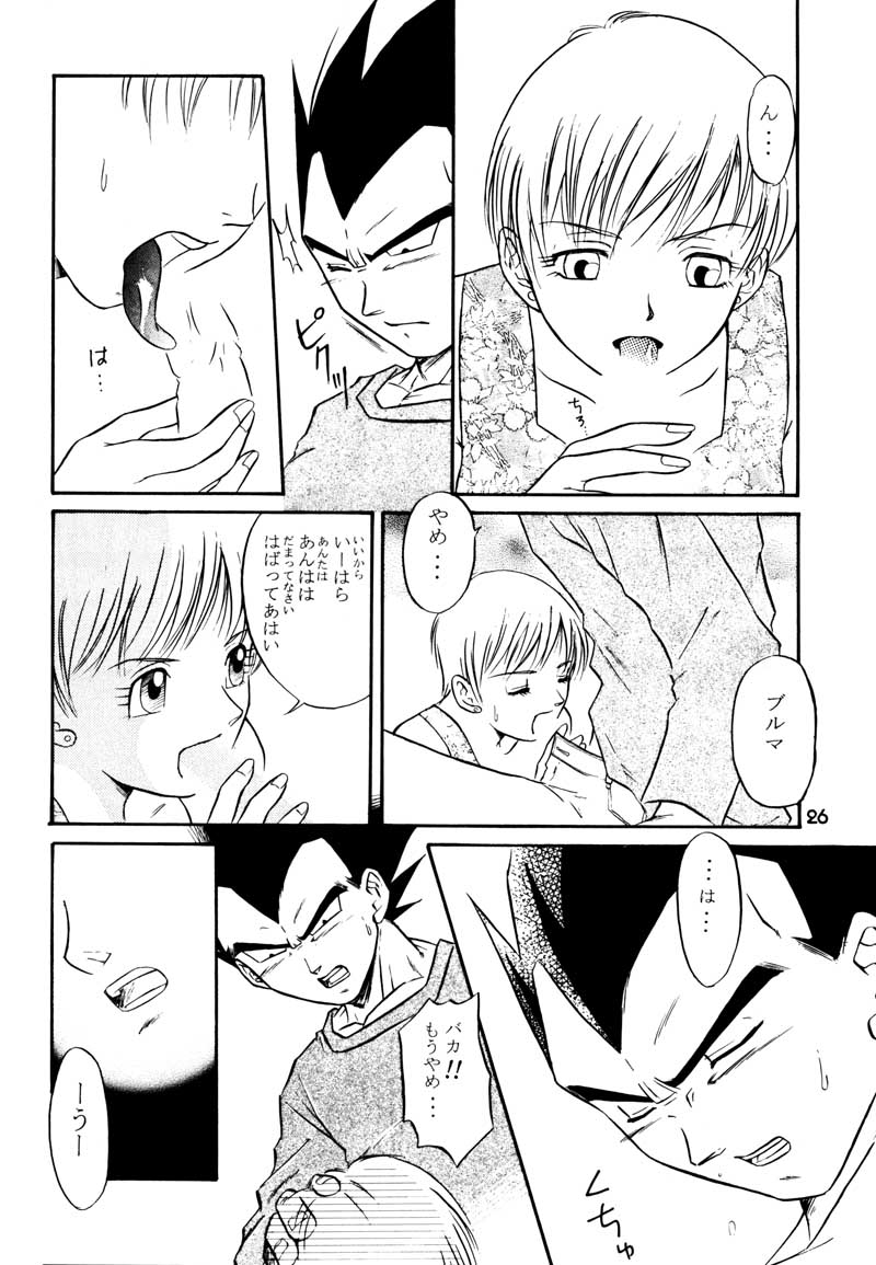 (C63) [Ryujin-kai (HITO Ribuki)] GIFT (Dragon Ball Z) page 25 full