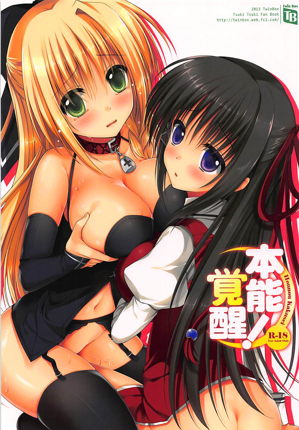 (C84) [TwinBox (Sousouman, Hanahanamaki)] Honnou Kakusei (Tsuki Tsuki!) page 1 full