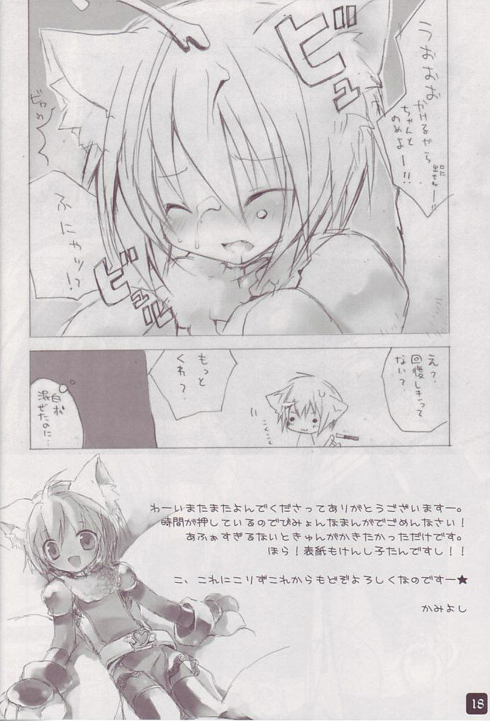 (CR37) [HYPER BRAND (Ishihara Masumi)] Operation Ragnarok ~Kind Lady~ (Ragnarok Online) page 18 full