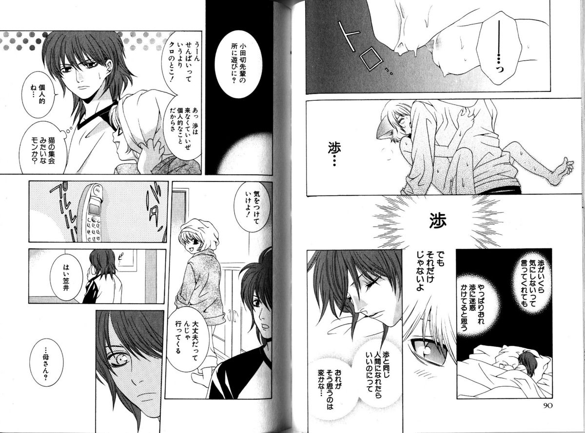 Akana Meiko - Nekokan page 48 full