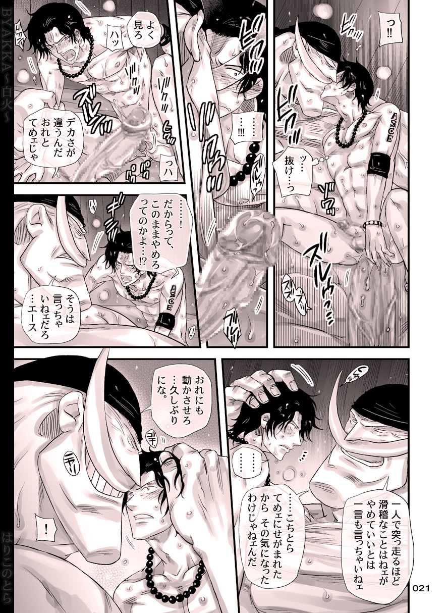 [Hariko no Tora (Midoh Torako)] BYAKKA (One Piece) [Digital] page 21 full