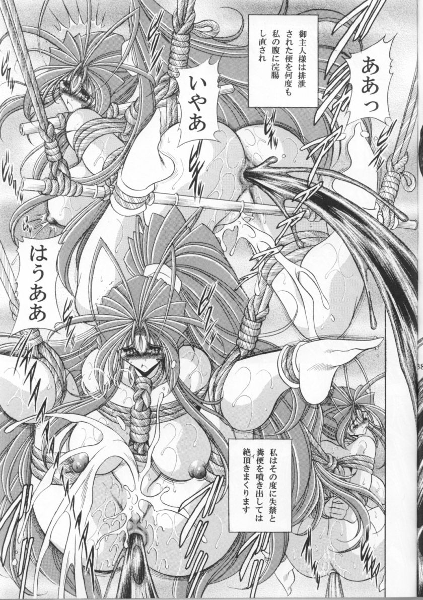 (C70) [Circle Taihei-Tengoku (Horikawa Gorou)] Megami no Ana (Ah! My Goddess) page 38 full