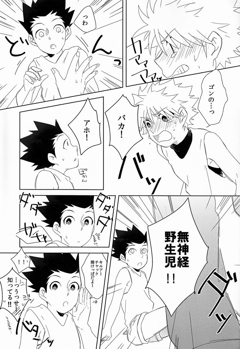 (CLIMAX HUNT 5) [Fukahire (Hekiru)] Rifujin wa Gokigen (Hunter x Hunter) page 10 full