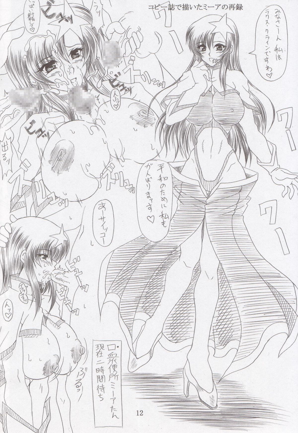 (C69) [INSERT (KEN)] Chichi-hime (Gundam SEED DESTINY) page 11 full