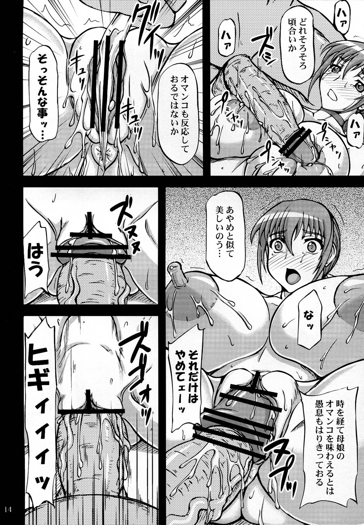 (C83) [Anglachel (Yamamura Natsuru)] Chichijiru Musume (Dead or Alive) page 14 full