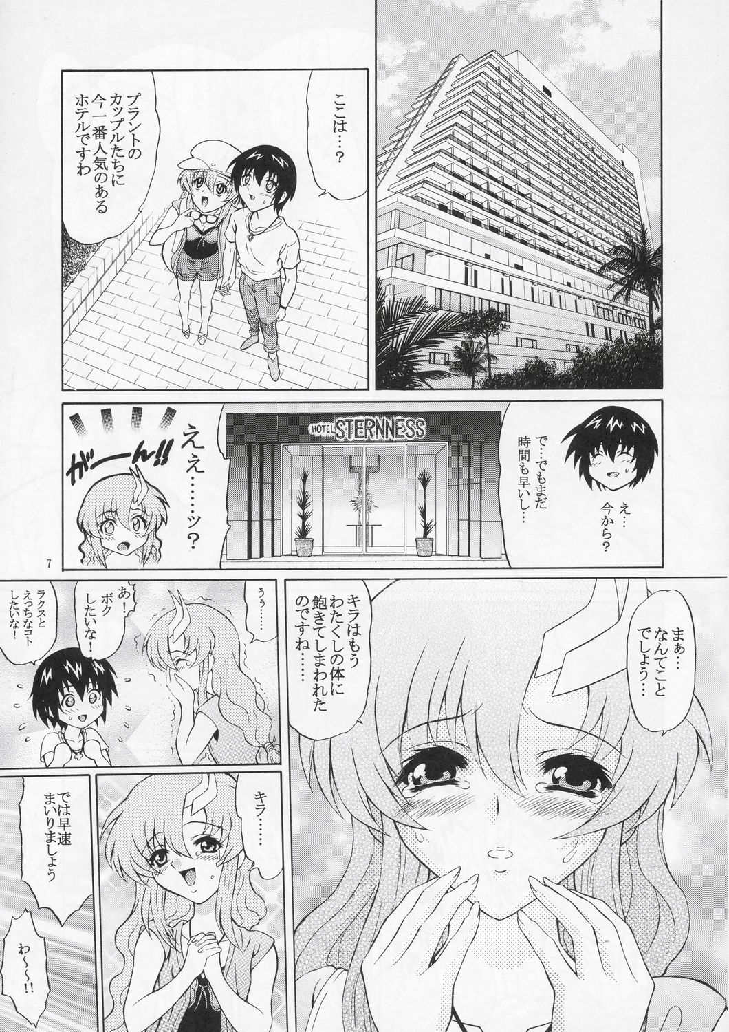 (C66) [GUST (Harukaze Soyogu)] Sternness 3 (Mobile Suit Gundam SEED) page 6 full
