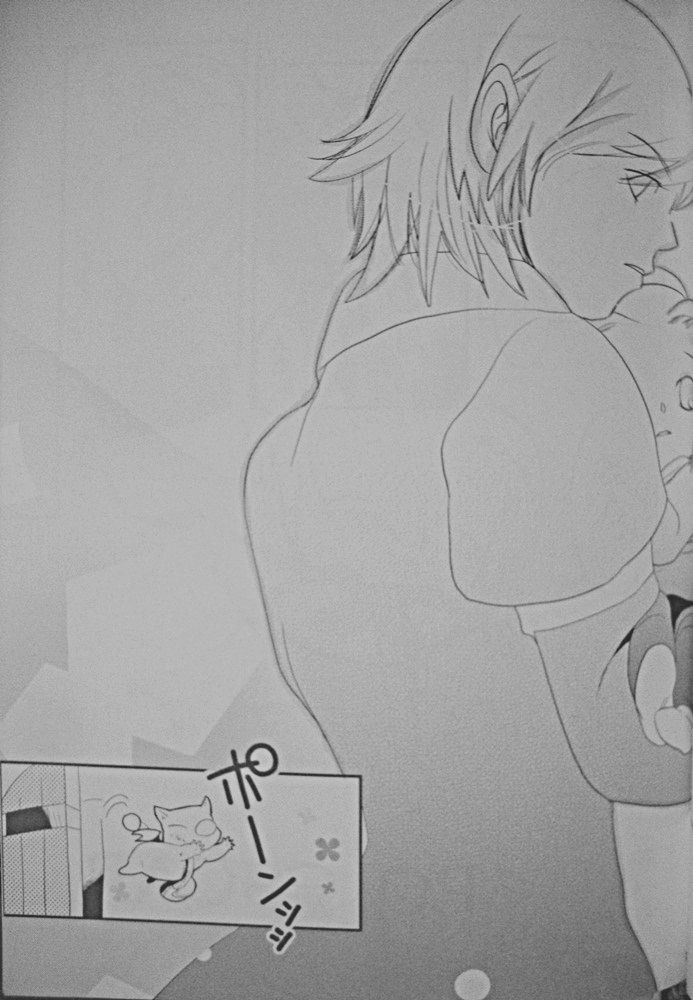 (C69) [Sandwich (Ham)] Polestar (Final Fantasy XI) page 5 full