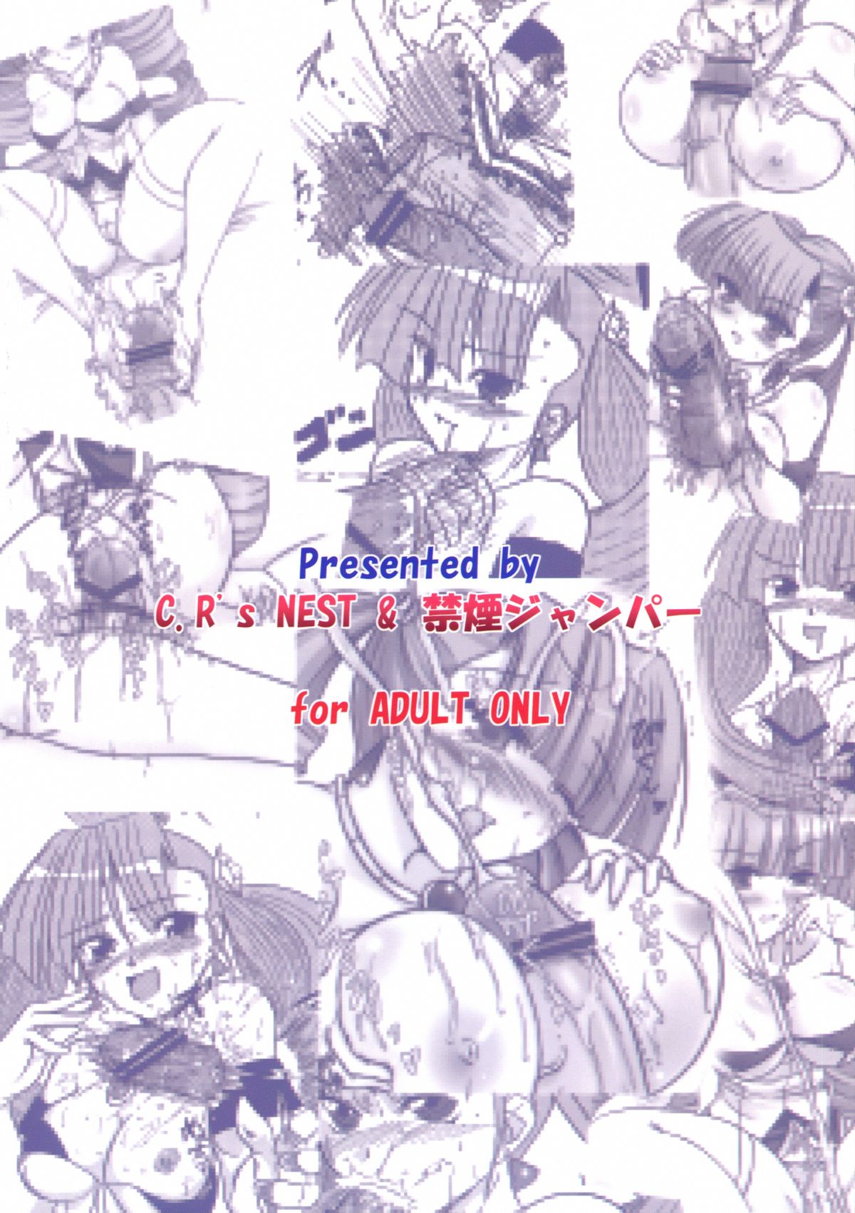 [C.R's NEST (Akenami Yasutaka, C.R, Chouzetsu Yarou)] Bokura wa Kanojo no te no Naka (Arcana Heart) page 2 full