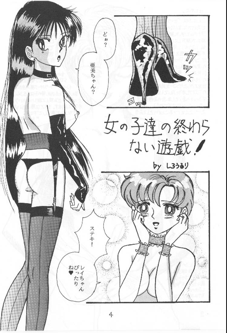 [Kareruren (Shirou Ruri)] EN DOLL Junbi-gou (Bishoujo Senshi Sailor Moon) page 3 full