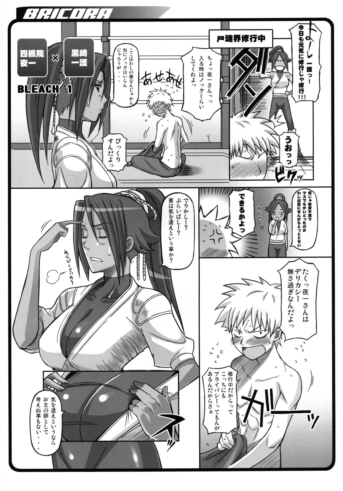 (C81) [Diogenes Club (Haikawa Hemlen)] BRICOLA Soushuuhen (BLEACH) [Digital] page 4 full