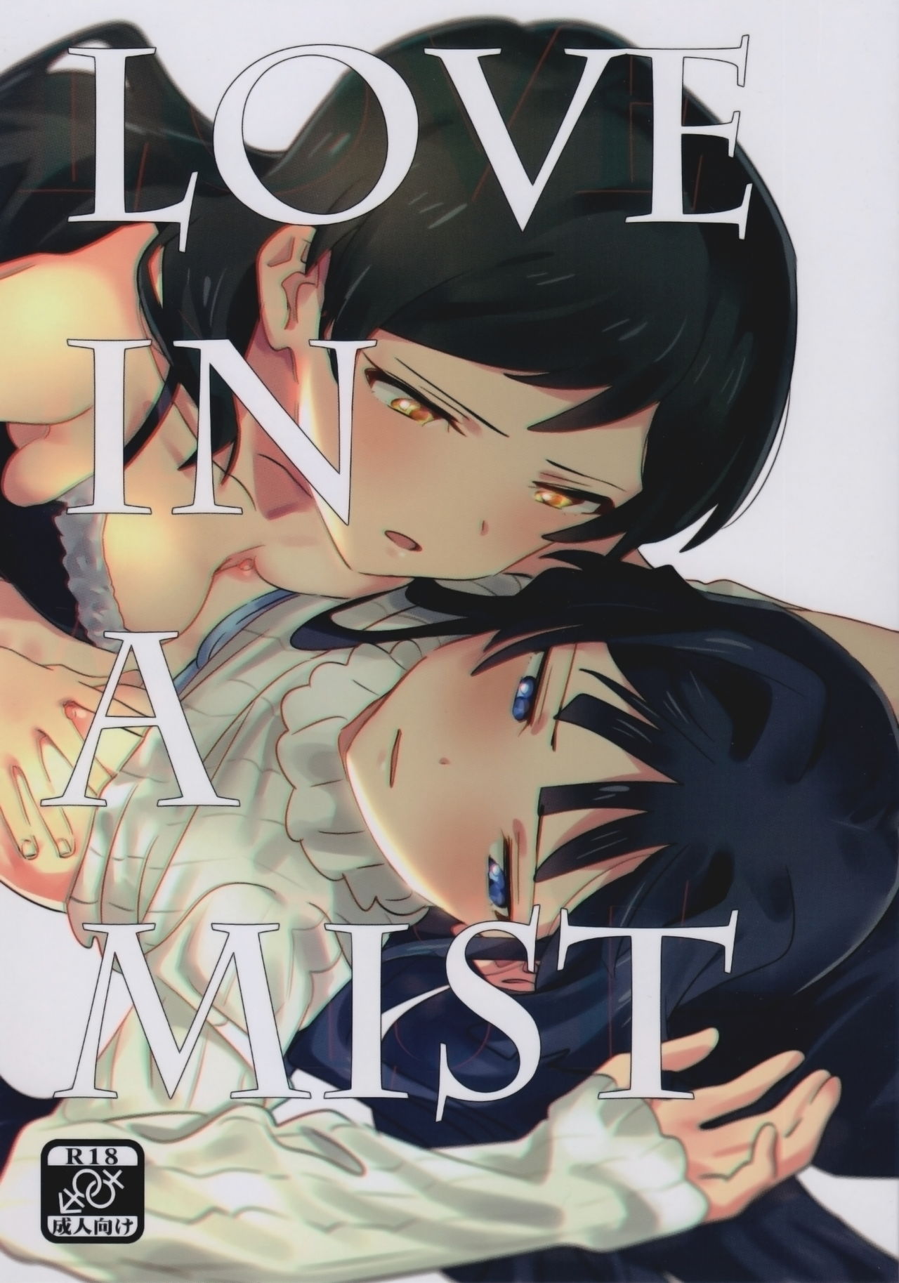 (C95) [Manshin Soui (Yomosaka)] LOVE IN A MIST (THE IDOLM@STER MILLION LIVE!) page 1 full