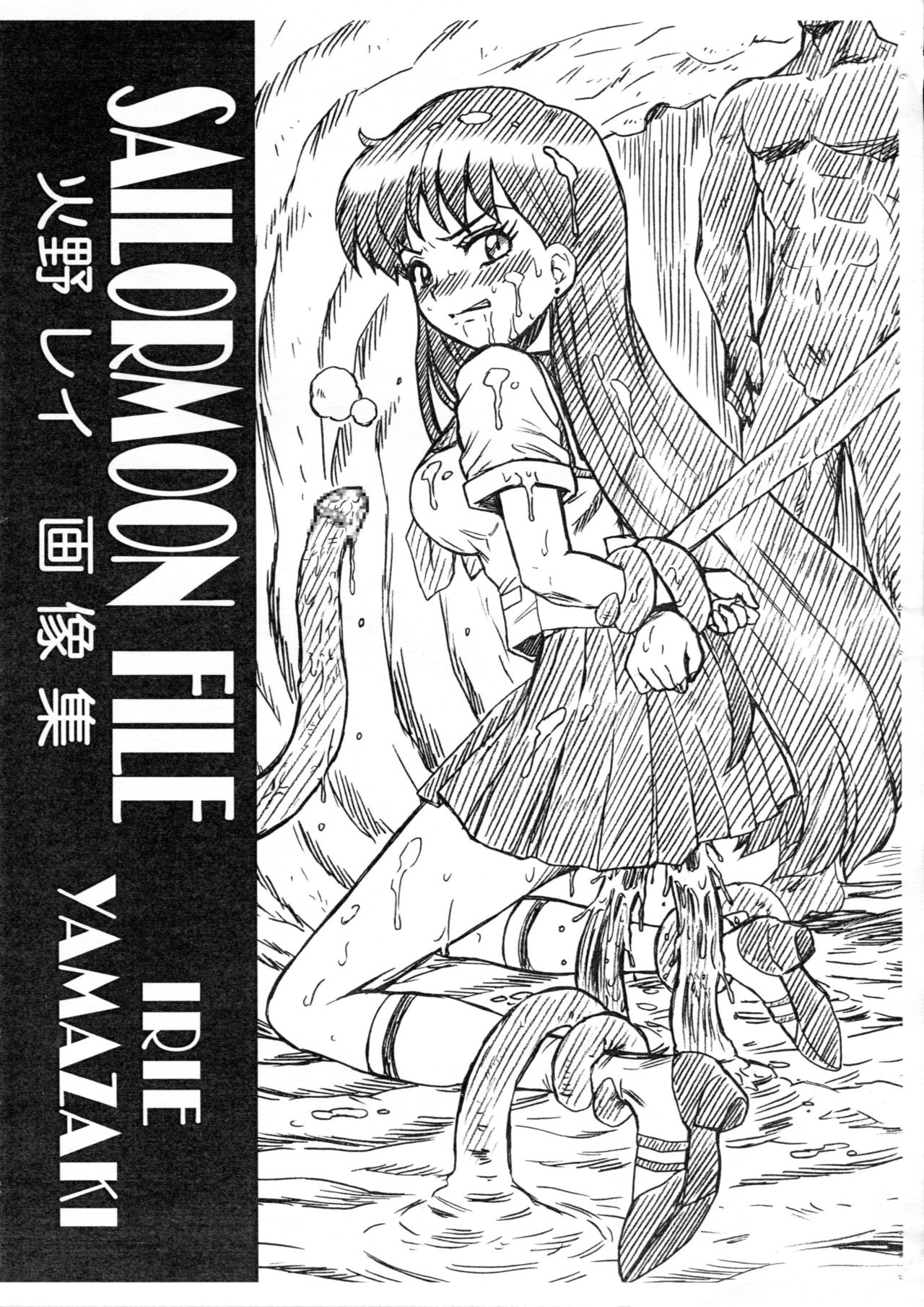 (C82) [Rat Tail (Irie Yamazaki)] SAILORMOON FILE Hino Rei Gazoushuu (Bishoujo Senshi Sailor Moon) page 1 full