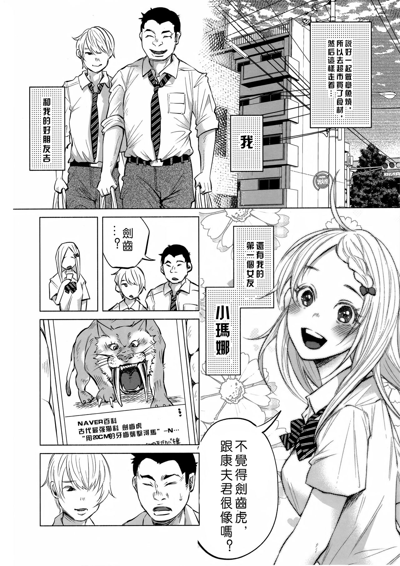 (C92) [Chemical Janky (Shiruka Bakaudon)] Koi Monogatari [Chinese] [沒有漢化] page 4 full