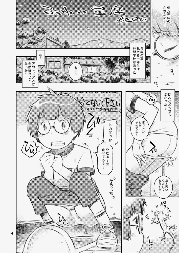 (C85) [Mayonnaise Bakufu (Sekihan)] Fuyu no Seiza page 3 full