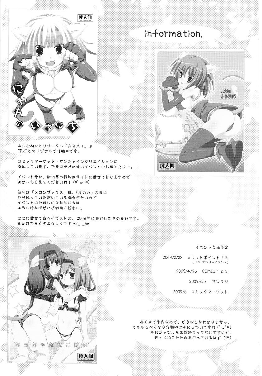 (C75) [AZA+ (Yoshimune)] Okkina Neko Pai (Final Fantasy XI) page 25 full