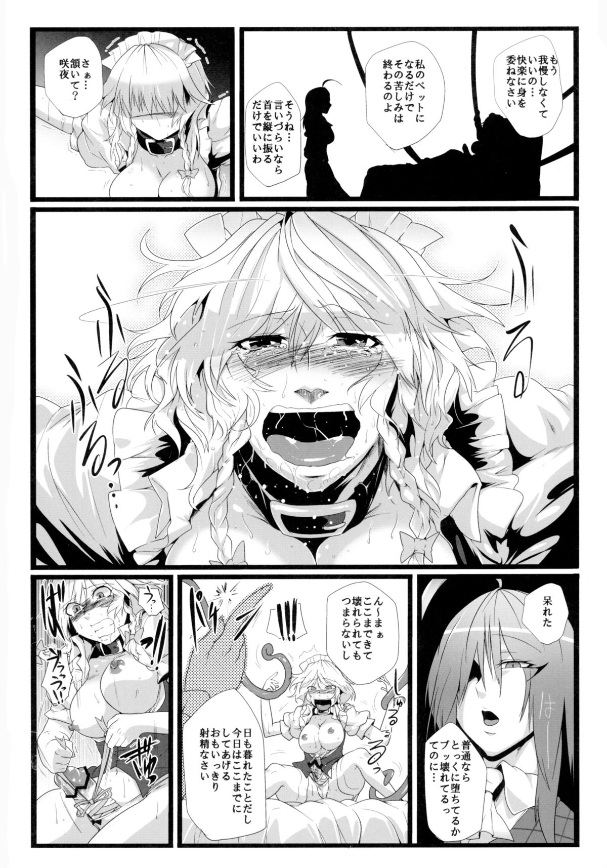 (C82) [Totsugasa (Sagattoru)] Inu Saffron (Touhou Project) page 8 full