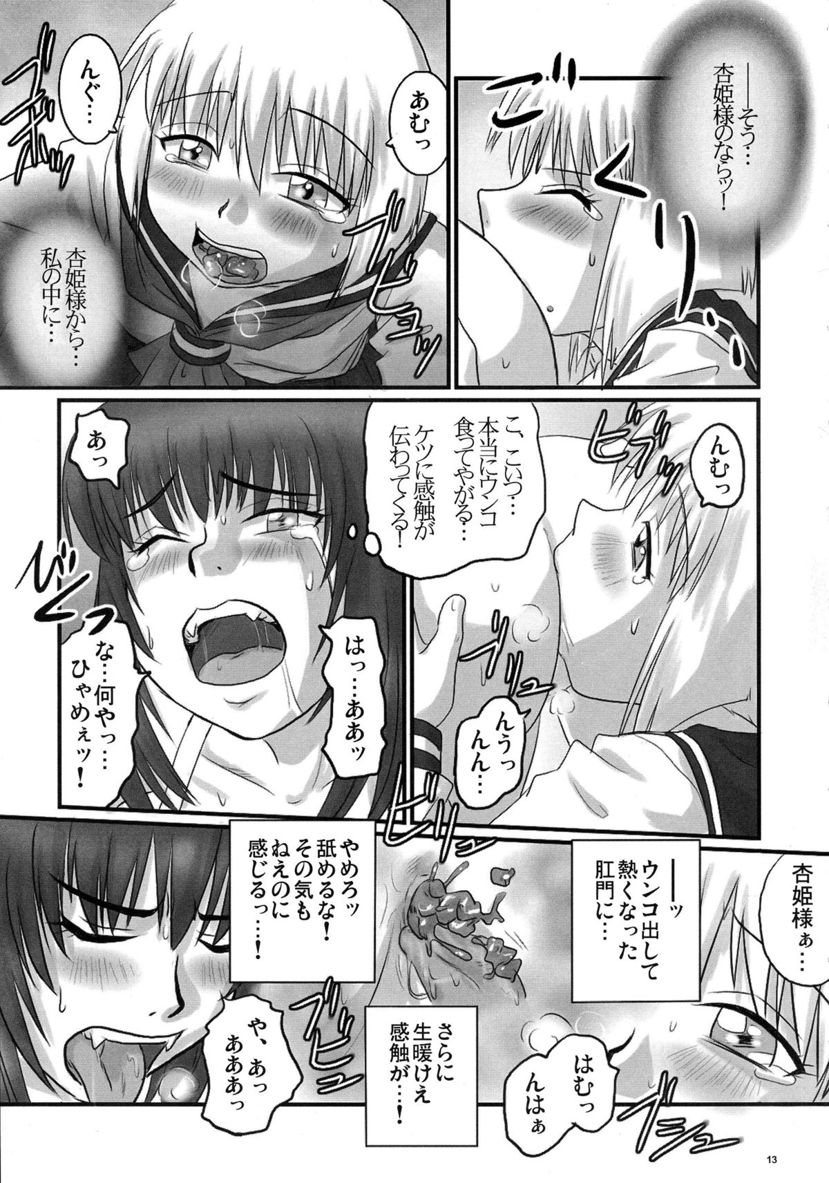 (C71) [Nozarashi (Nozarashi Satoru)] Gyakushuu no Kyouhime-sama page 13 full