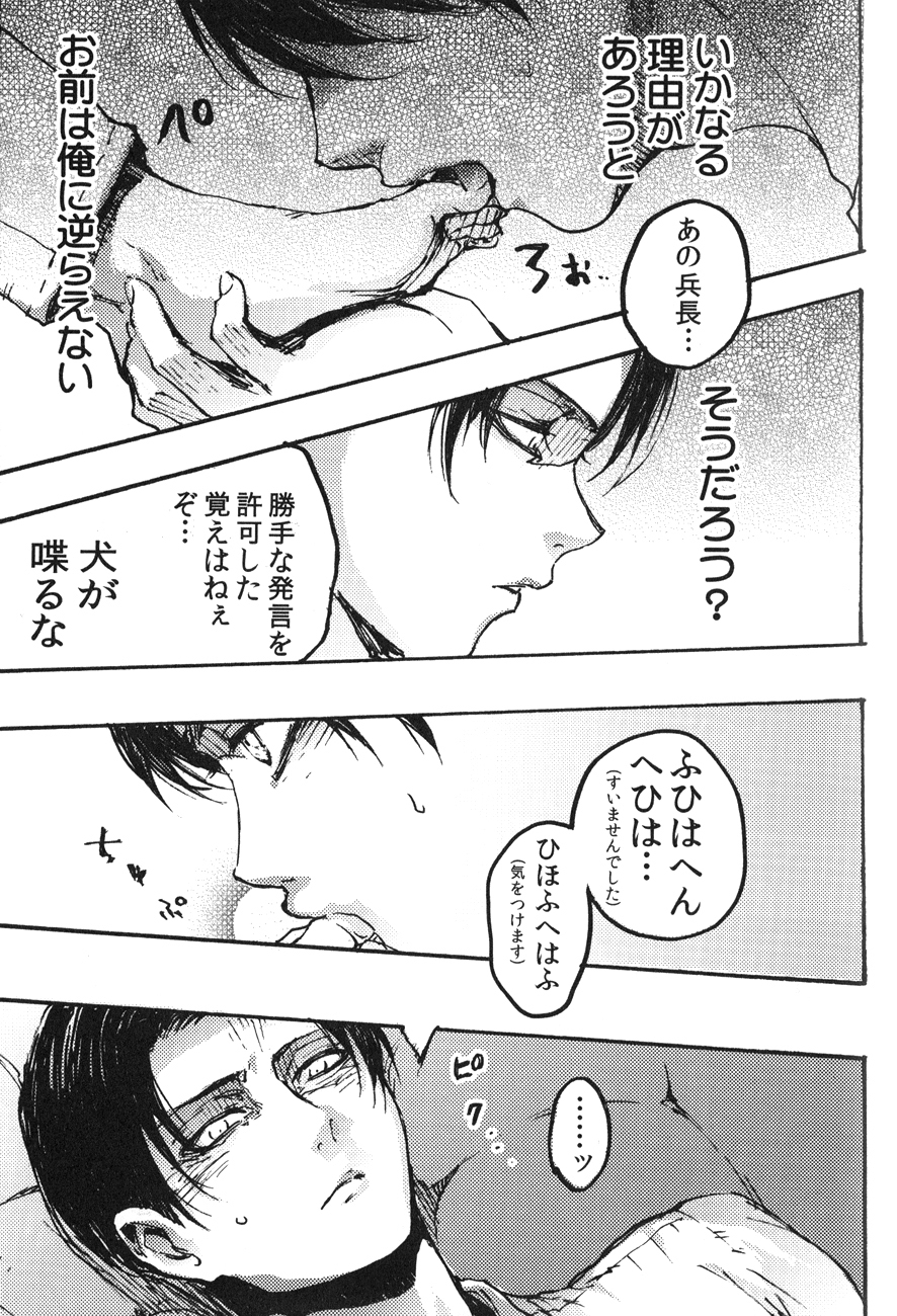 (SPARK8) [Onjire (Tamy)] Kachiku Play (Shingeki no Kyojin) page 27 full