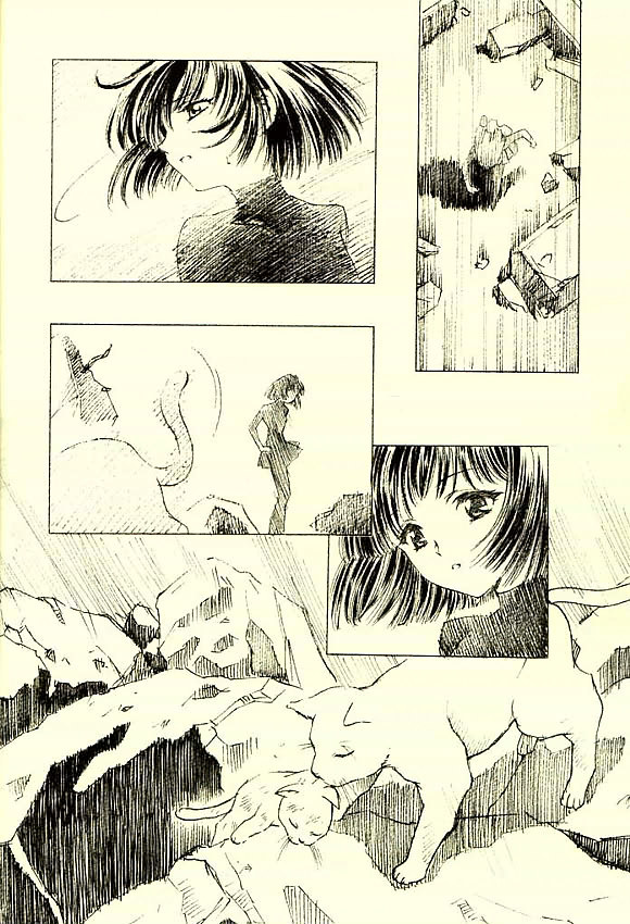 (CR31)[Henrei-kai (Kawarajima Koh)] Hotaru Ame (Bishoujo Senshi Sailor Moon) page 27 full