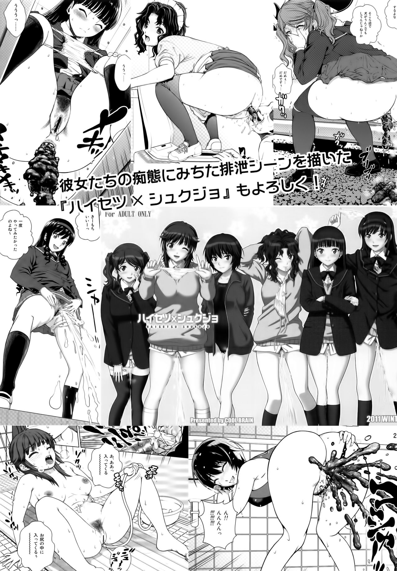 (C91) [Cool Brain (Kitani Sai)] Haisetsu x Shukujo Oshikko Party 2 (Amagami) page 21 full