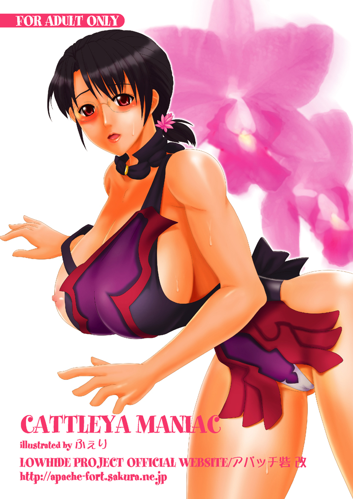 [LOWHIDE PROJECT (LOWHIDE)] Cattleya Maniac (Queen's Blade) [Digital] page 18 full