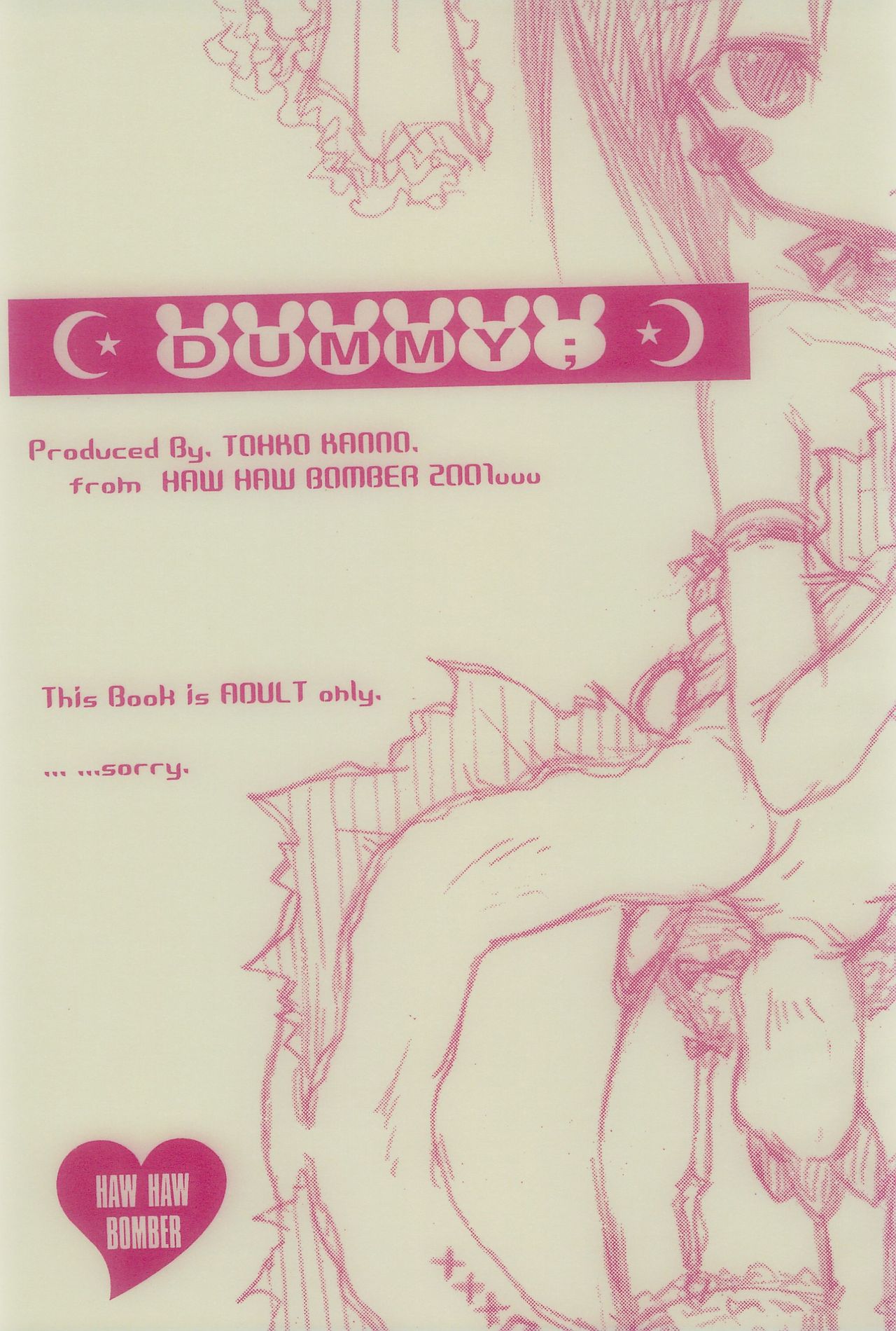 [Haw Haw Bomber (Kanno Touko)] DUMMY (Digimon) page 3 full
