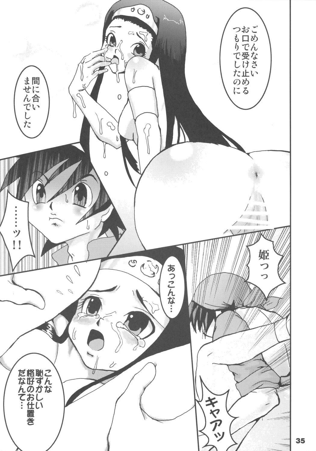 (SC27) [URAN-FACTORY (URAN)] Himegimi ni Shukufuku wo (Dragon Quest VIII) page 34 full