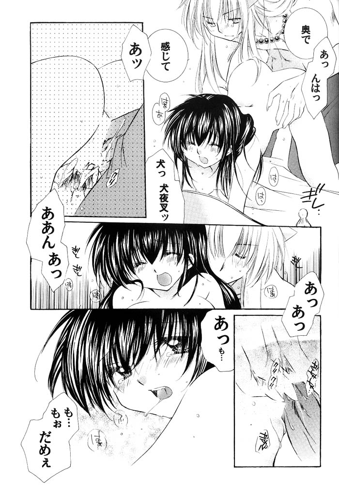 (C66) [Sakurakan (Seriou Sakura)] Junai Romanesque (Inuyasha) page 22 full