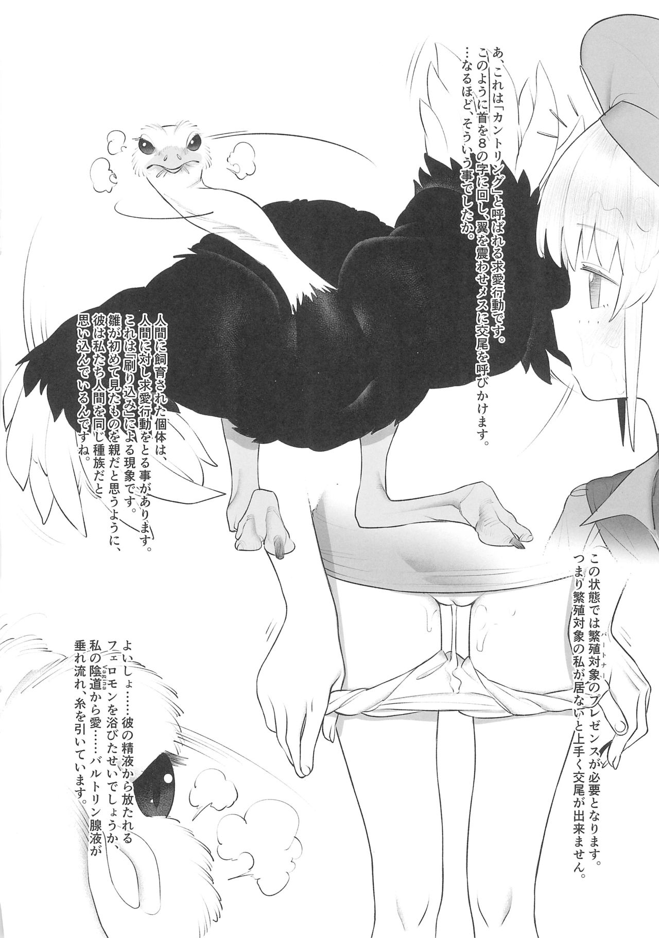 (SC2018 Autumn) [zero-sen (xxzero)] Tori no Kimochi Ii page 8 full