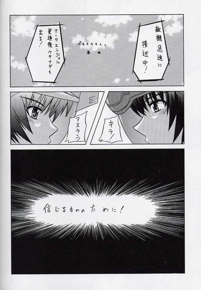 (C64) [Neo Frontier (Takuma Sessa)] My Milky Way 3rd (Gundam SEED) page 17 full