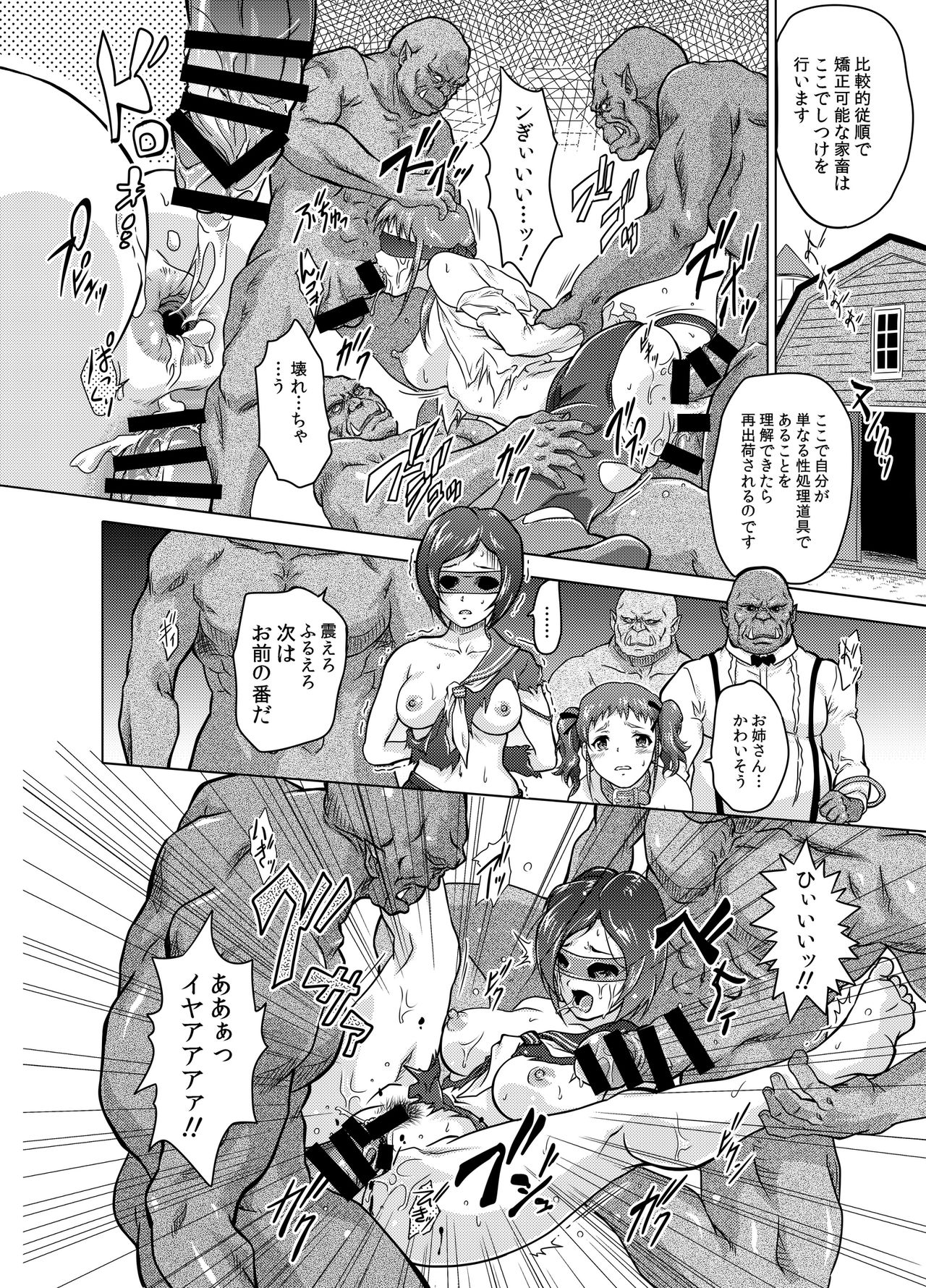 [Orc Chou (NOLIA)] Dominate Orc ~Kachiku Ika to Sareta Mijime na Ningenzoku~ page 18 full