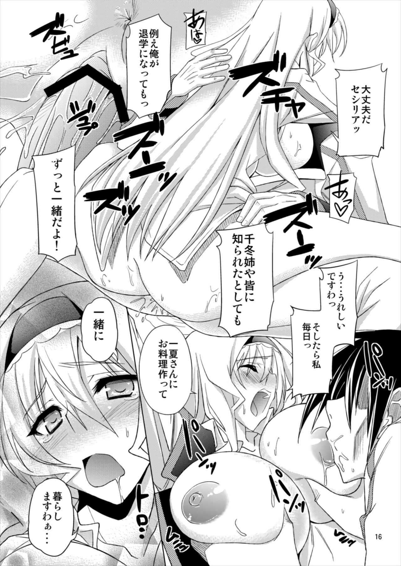 (C82) [RADICAL DASH (Miyane Aki)] AFTER DREAM (IS <Infinite Stratos>) page 16 full