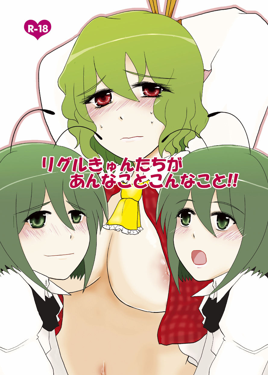 [Hyappo Hissatsu (Nodoka)] Wriggle-kyun-tachi ga Anna Koto Konna Koto!! (Touhou Project) [Digital] page 1 full