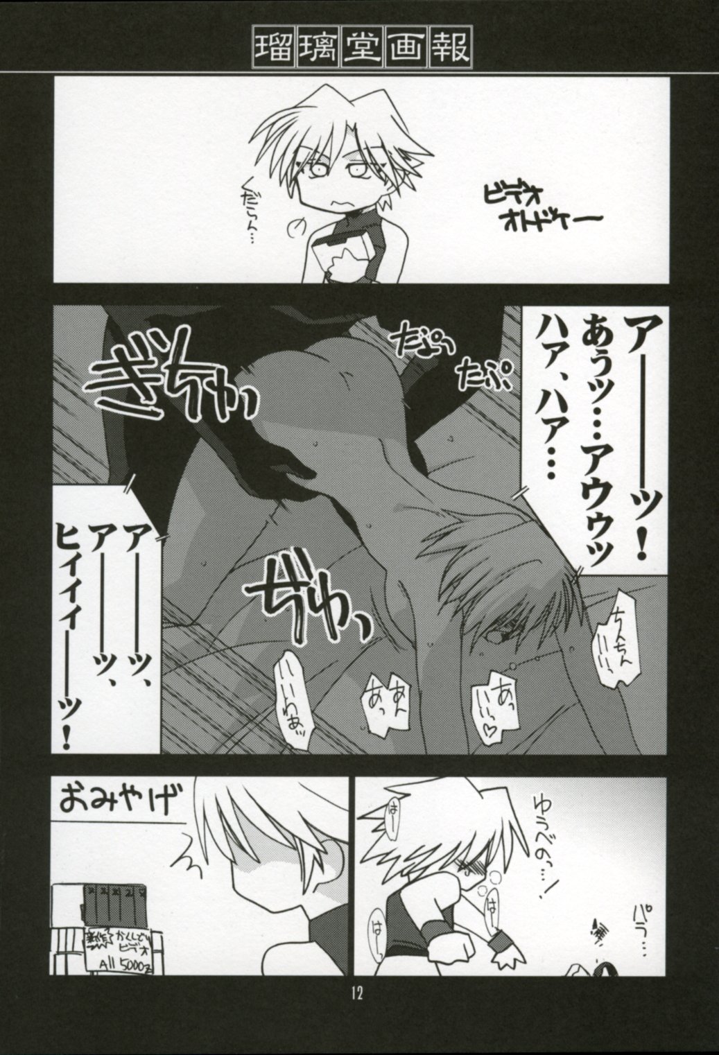 (C64) [UA Daisakusen & Lapis Lazuli (Harada Shoutarou)] Ruridou Gahou XX CODE:20 (Dead or Alive) page 11 full