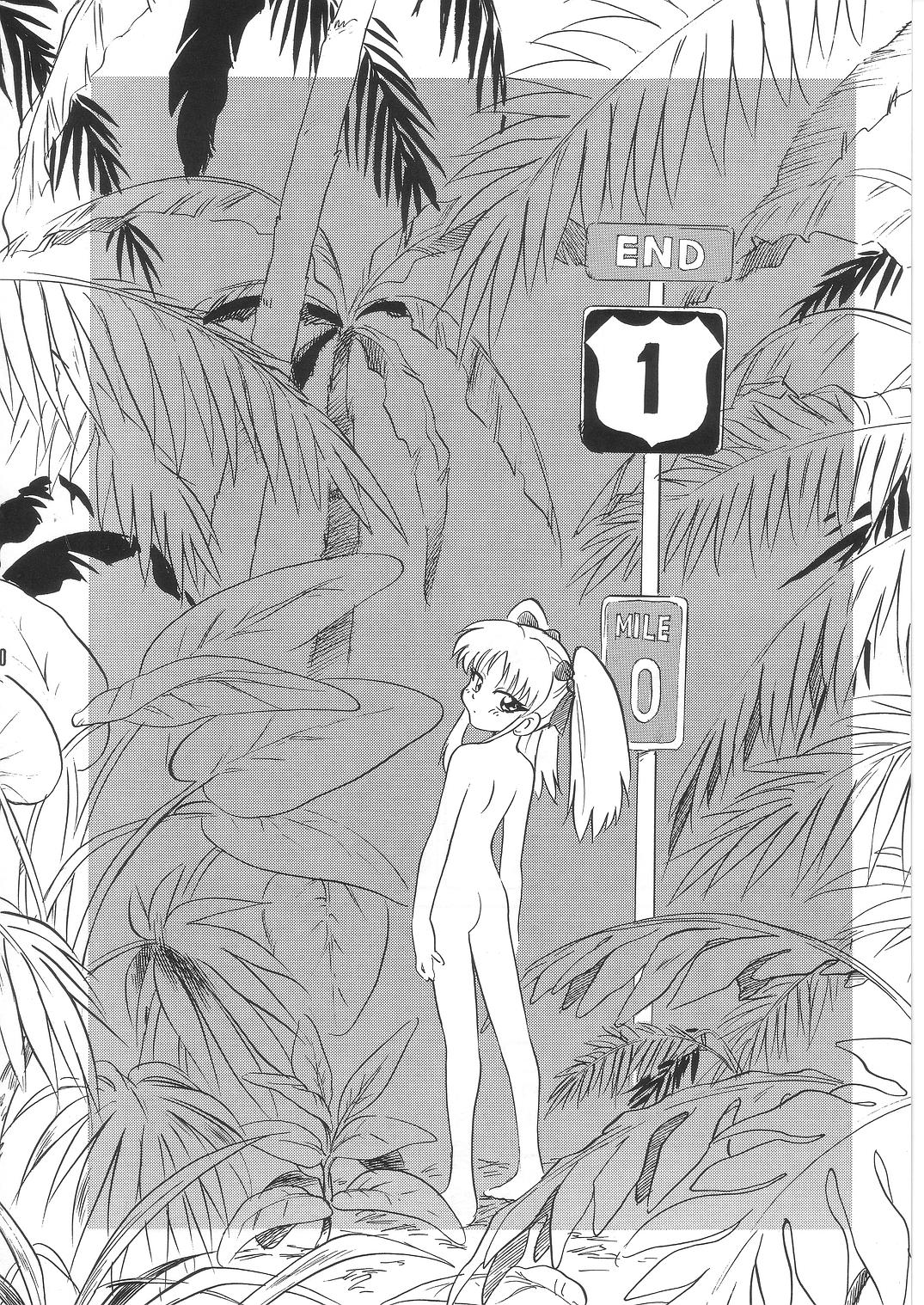 [DPP] Summer Solstice (nadesico) page 10 full