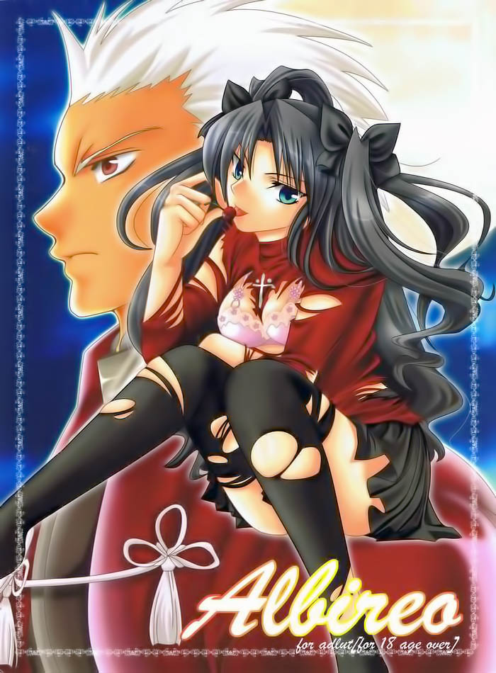(Mimiket 10) [RED DATA BOOK (Amano Ryuuki)] Albireo (Fate stay night) [Chinese] page 1 full