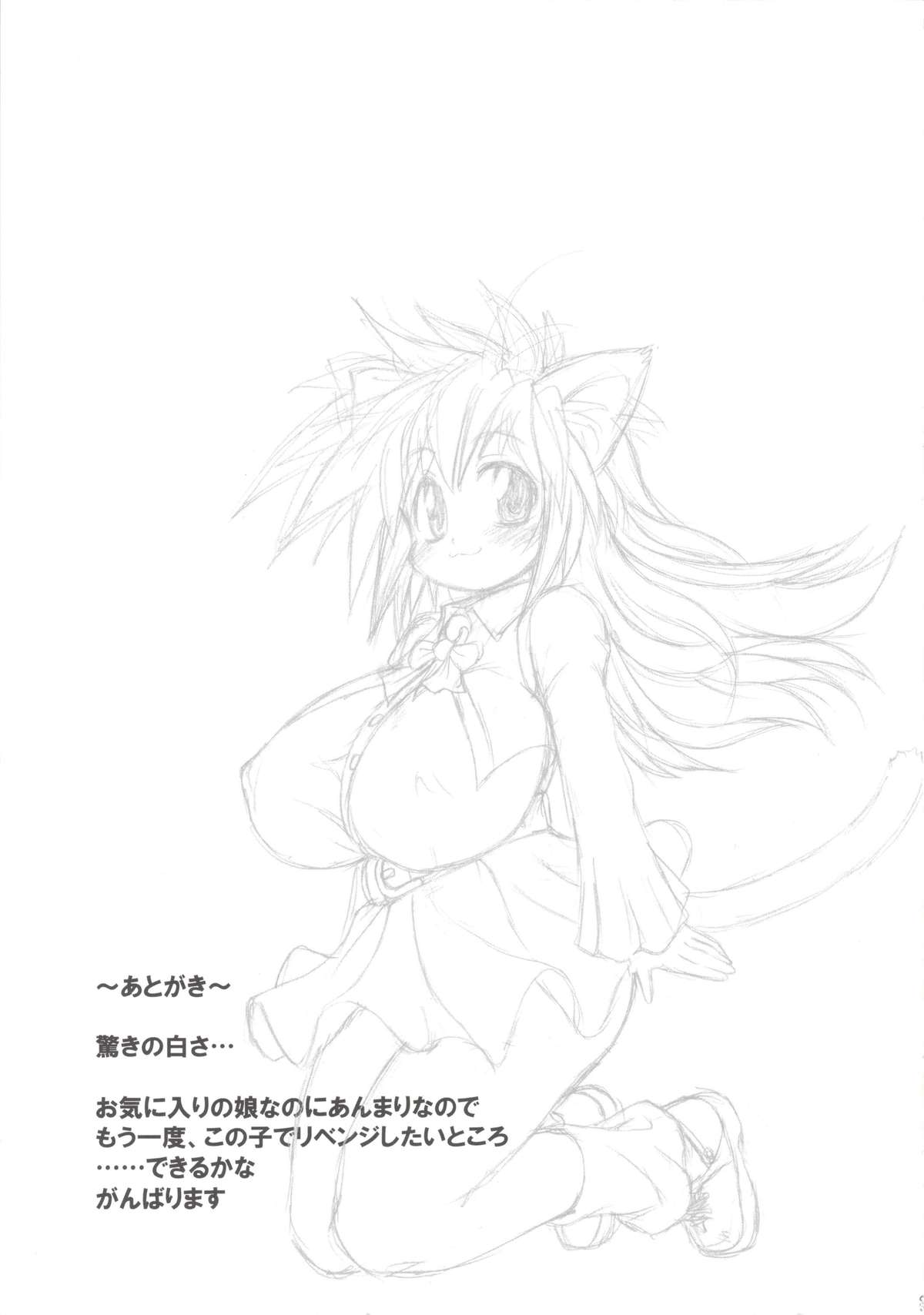 (C76) [Shimanto Seiryuu (Shimanto Youta)] Nyan Sword page 31 full