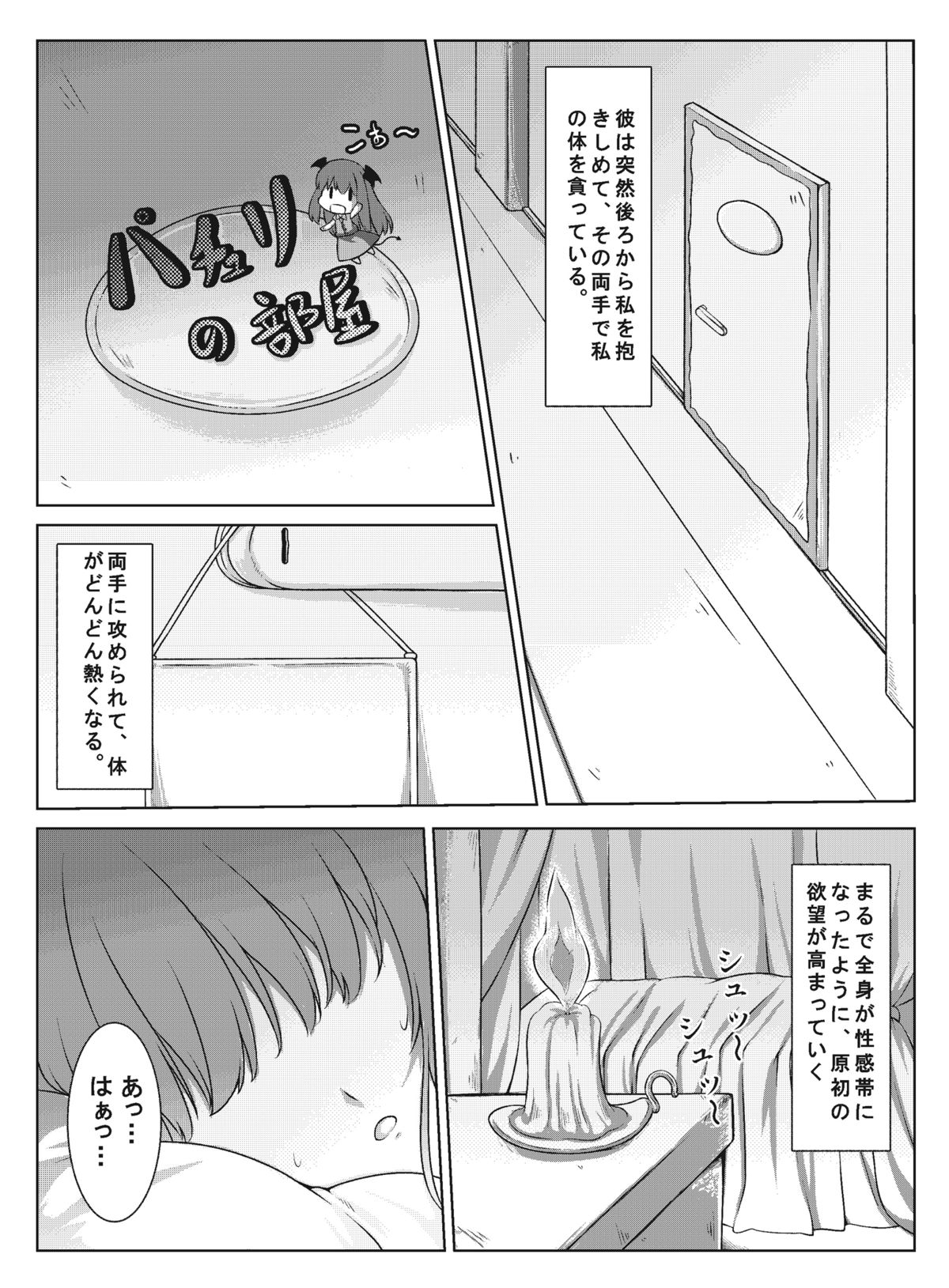 [Ran-ya (Aranmaru)] SECRET EXPERIMENT (Touhou Project) [Digital] page 4 full