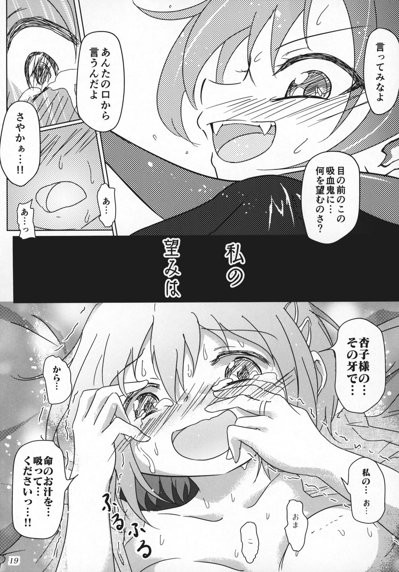 (C94) [kiba feti (Jun)] yaeba fetish sayaka-chan 3 (Puella Magi Madoka Magica) page 18 full
