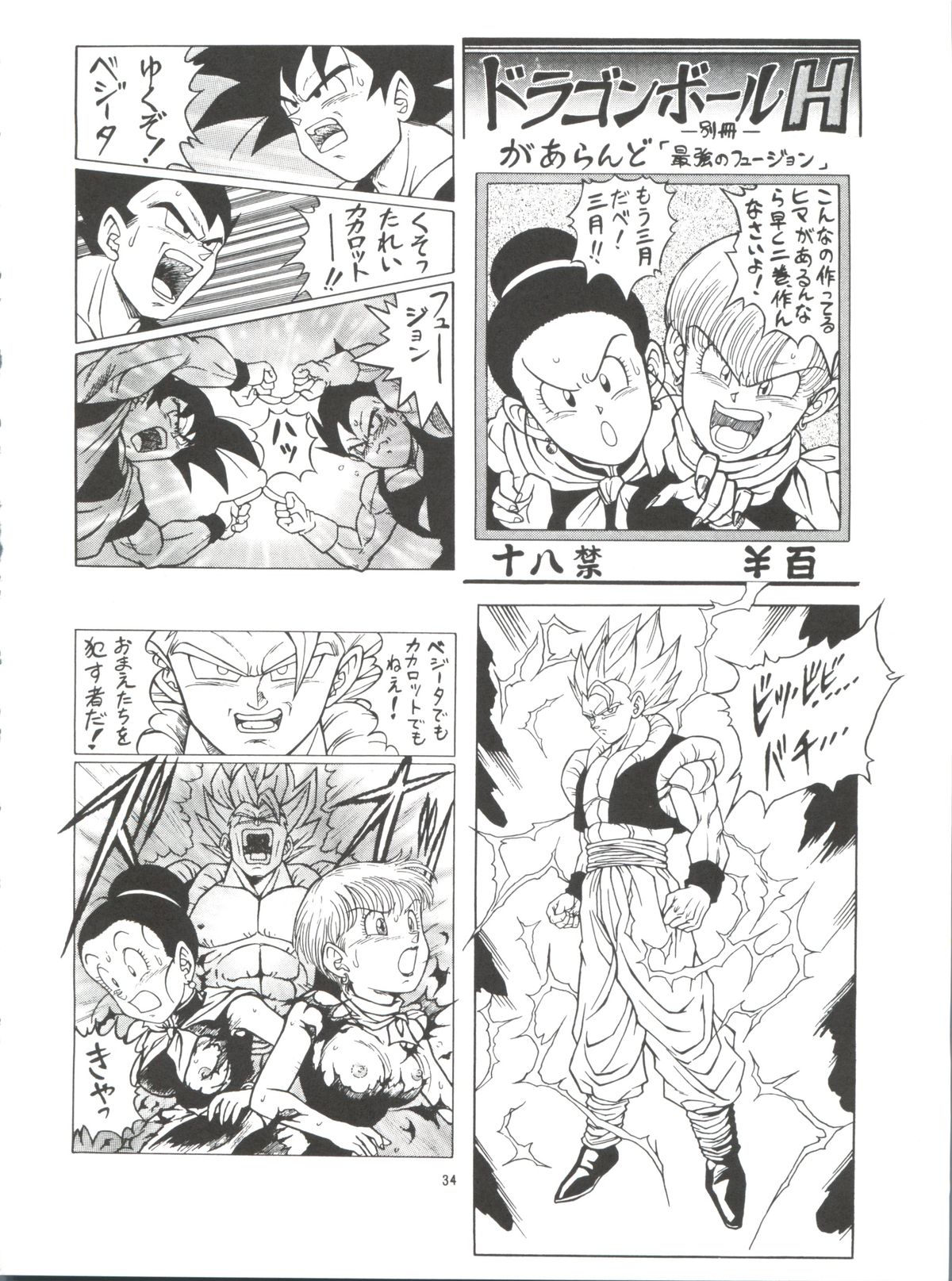 [Rehabilitation (Garland)] Dragonball H Maki Ichi Ni Saihan [white cover] (Dragon Ball Z) page 34 full