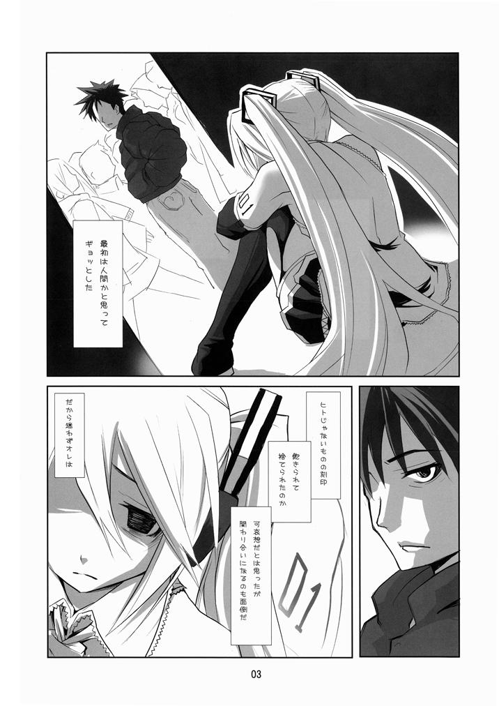 (C73) [rabbit syndrome (Hermmy)] Miku-Romania (VOCALOID) page 2 full