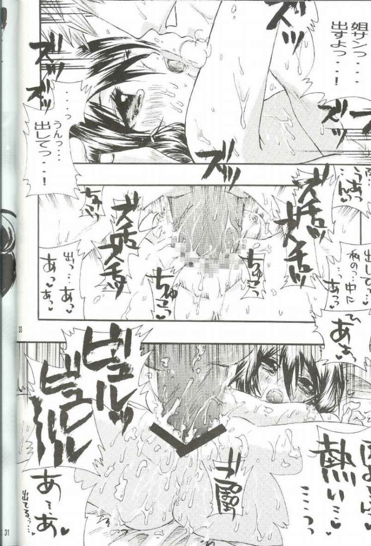 (C66) [PONCHEES (Kari) (Irohane Sui)] PIKA☆☆NCHI (Bleach) page 29 full