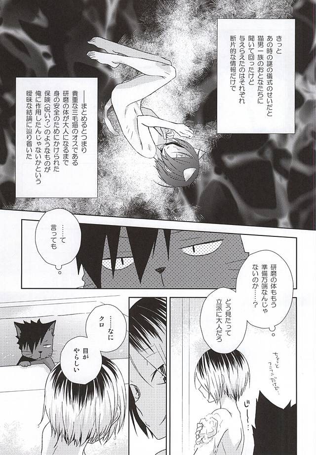 (RTS!!5) [MOBRIS (Tomoharu)] Neko Otoko Ichizoku no Koubi Report (Haikyuu!!) page 6 full