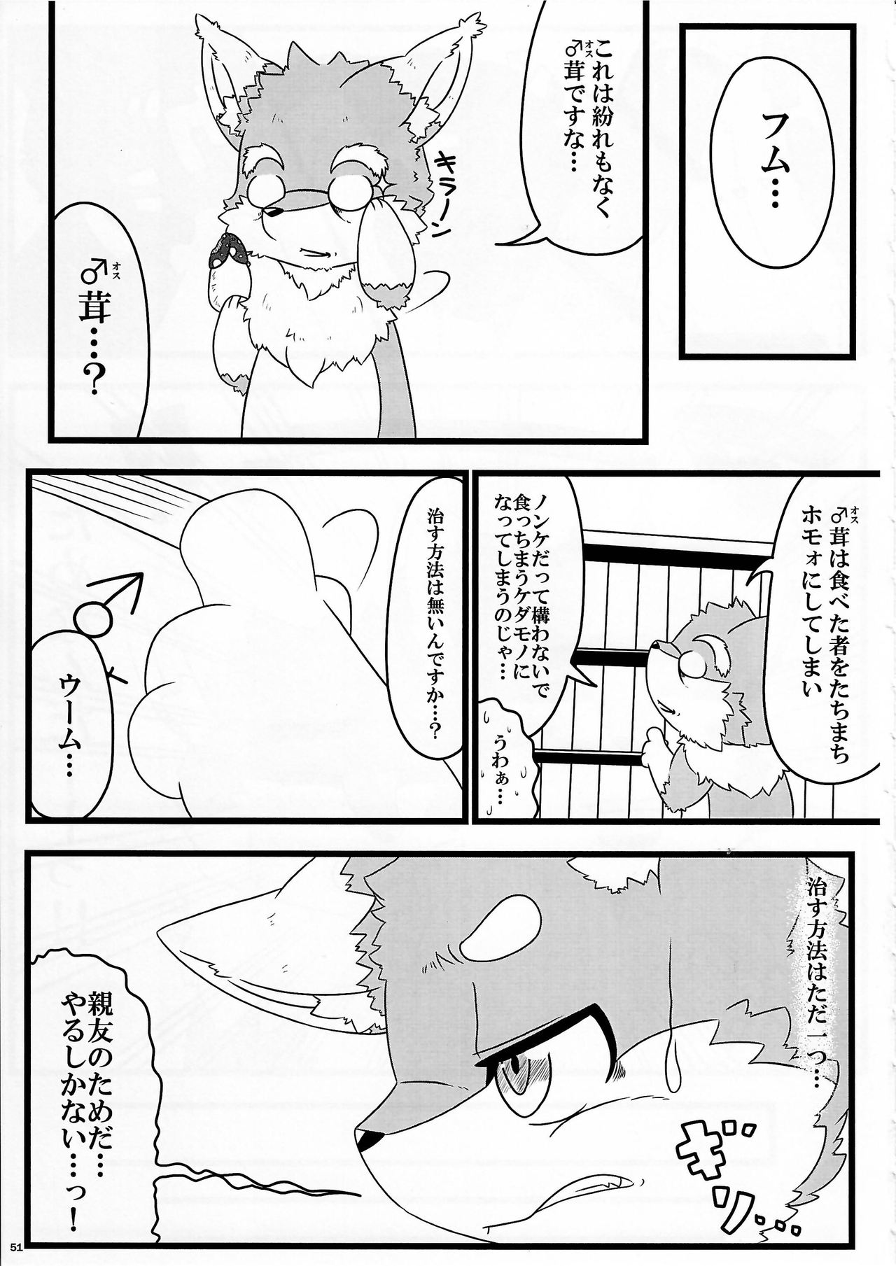 (Kansai! Kemoket 4) [KTQ48 (Various)] KTQ9 page 51 full
