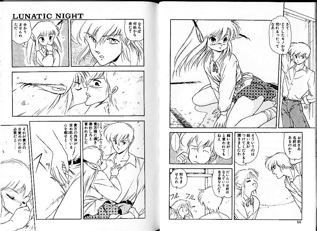 [Mii Akira] Lunatic Night 1 page 11 full
