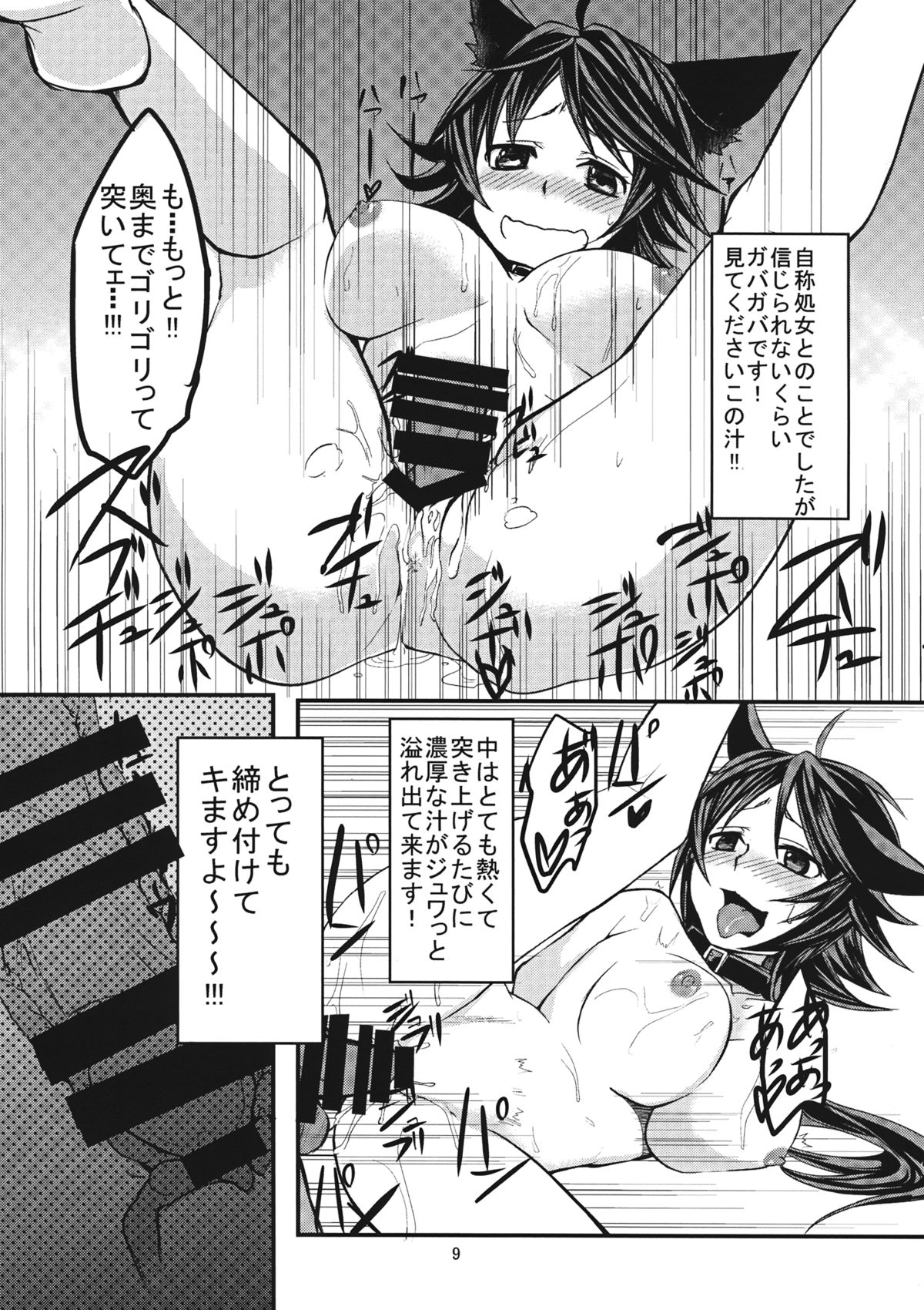 (C85) [Akai Kitsune (Yatsuzaki)] Nihon Ookami no Kaikata (Touhou Project) page 10 full