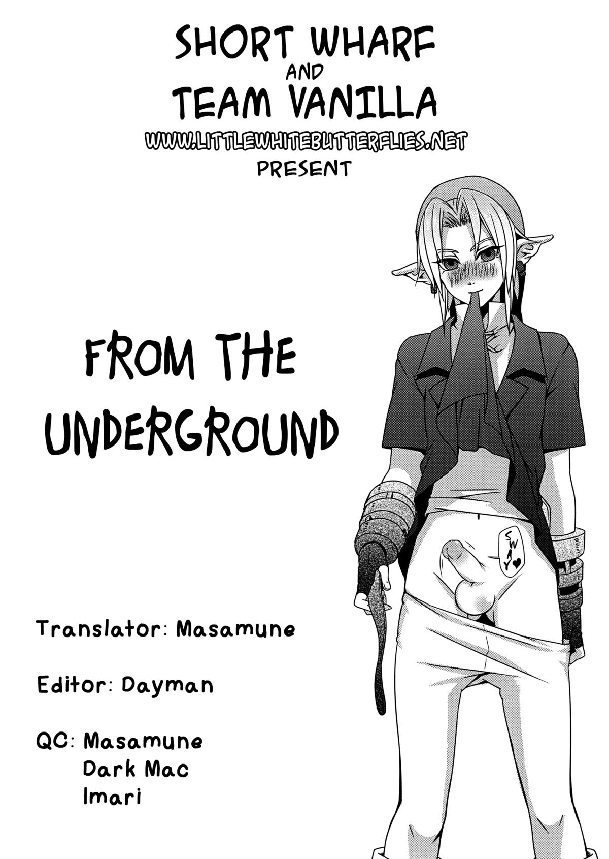 (C83) [Tricot (Stella.Ing)] From The Underground (The Legend Of Zelda) [English] =SW= page 19 full